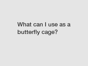 What can I use as a butterfly cage?